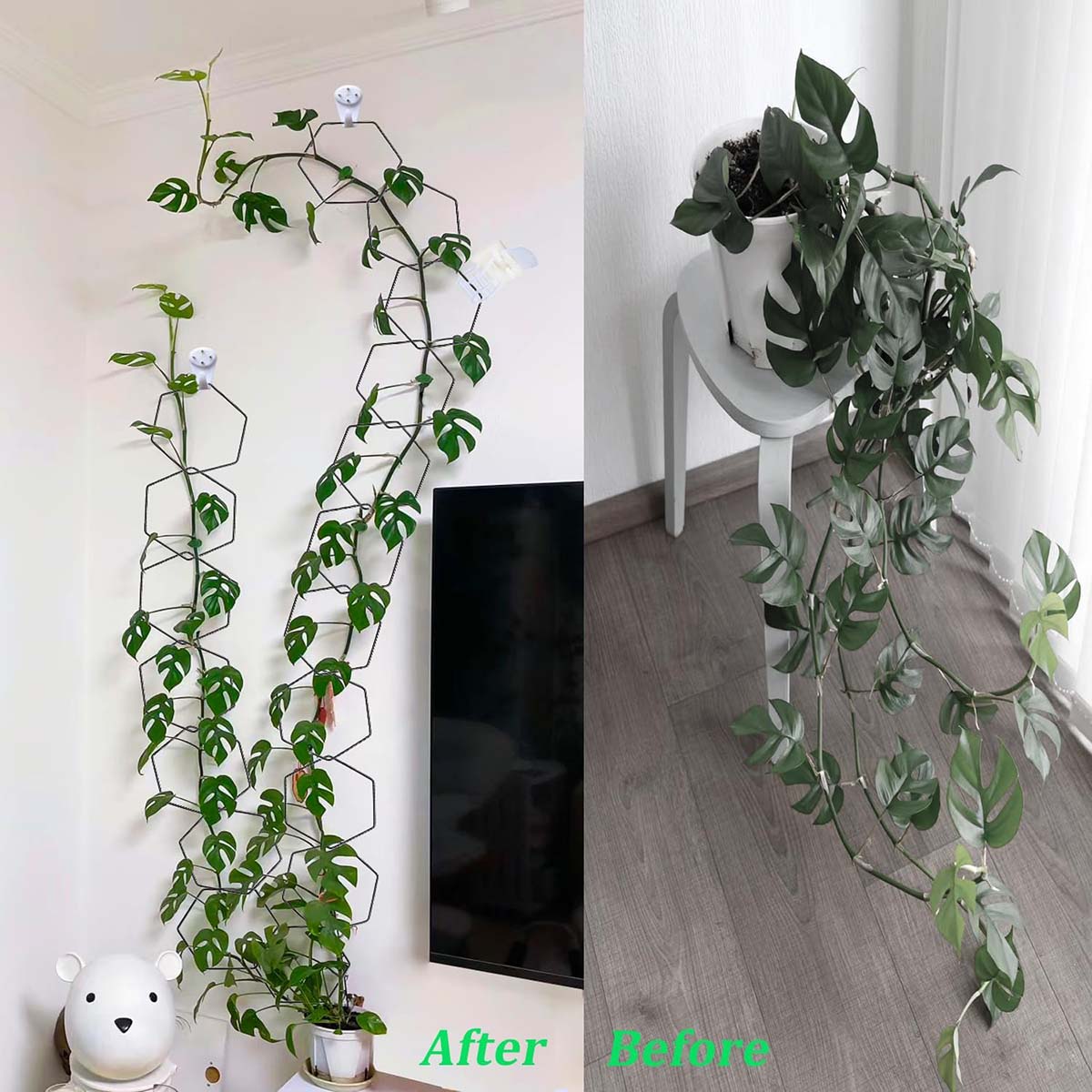 Climbing Plants Chain Trellis 18 Hexagons Potted Plant Trellis Vine Support Wall Trellis Plant Support Stakes FY-SP - Image 7