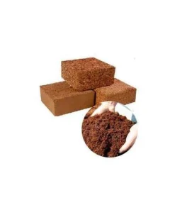 Coir Pith Coco peat In Garden